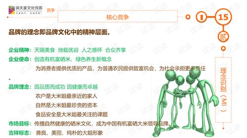 大米姐品牌營銷策劃案商業計劃書